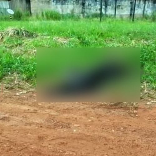 Corpo com pés e mãos amarradas é encontrado carbonizado, em Vilhena