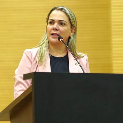 Deputada Cláudia de Jesus pede recuperação da RO-475 para prevenir prejuízos em Ji-Paraná