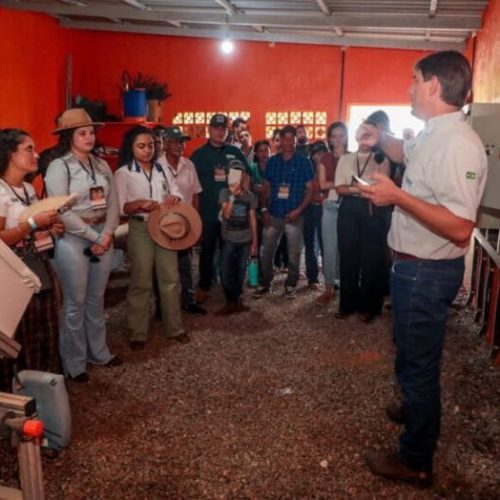 Palestras técnicas voltadas à inovação na cafeicultura são destaque no segundo dia da “Feira Robusta Amazônicos” em Cacoal