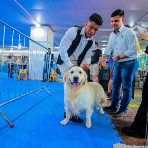 Governo de RO fomenta mercado pet em Porto Velho, com a realização da 2ª Feira de 1º a 7 de agosto