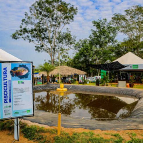 Rondônia Rural Show Internacional inicia nesta segunda-feira com o tema “Agricultura da Amazônia”
