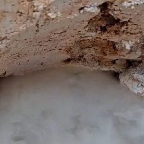 Crise Hídrica: produtores rurais são orientados pela Emater à preservação e restauração de nascentes