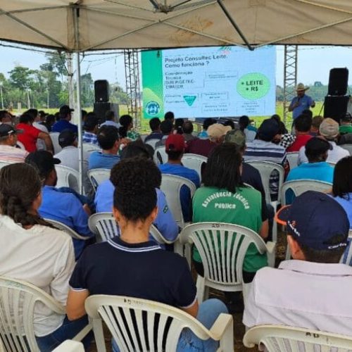 Produtores de Ariquemes batem recorde de produção leiteira com inventivo do governo de RO e ações do Consultec