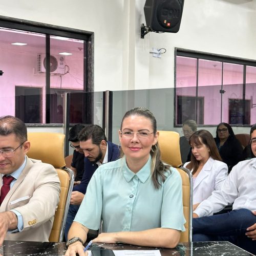 Vereadora Sofia Andrade critica governo e Congresso por tratamento dado a garimpeiros na Amazônia