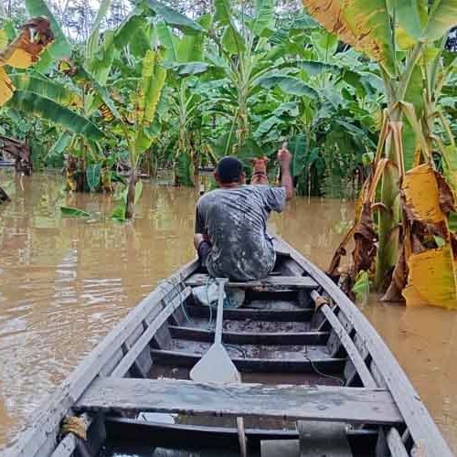 Ribeirinhos relatam abandono e demora na resposta à cheia do Madeira em Rondônia