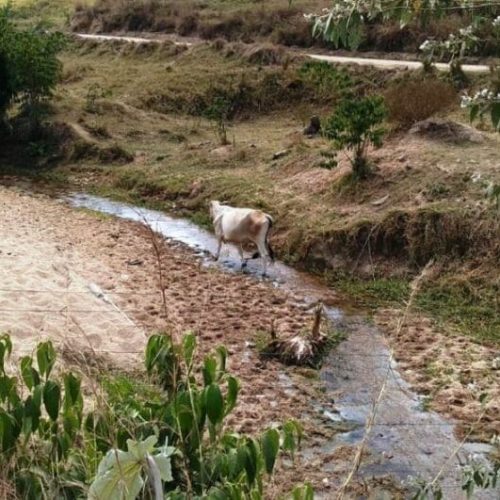 Soluções práticas para o trabalho no campo são destacadas para conservação de água durante estiagem