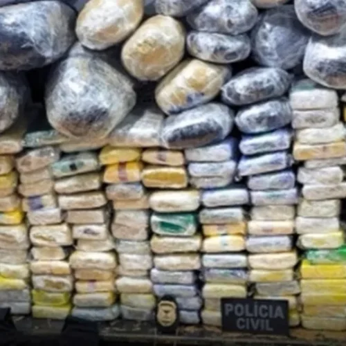 Polícia Civil apreende 180 quilos de drogas em operação na fronteira em Guajará-Mirim