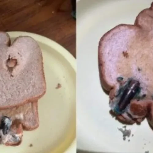 Mulher encontra bala de fuzil em pão de forma