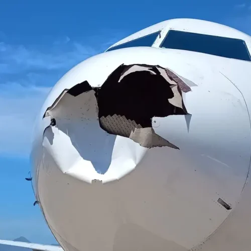 Voo da Latam retorna ao Galeão após avião colidir com pássaro