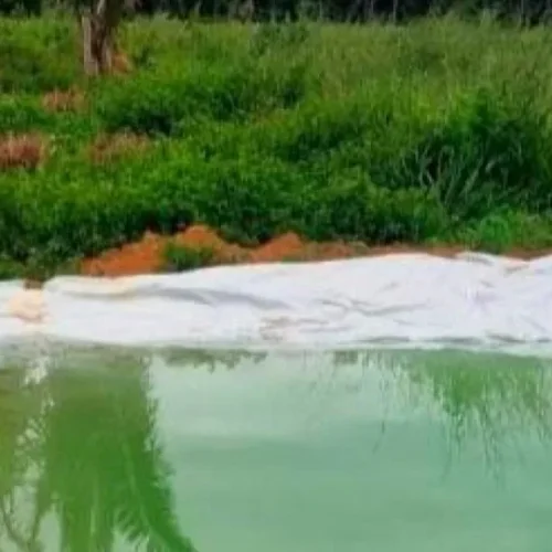 Tragédia em Vale do Paraíso: Dois irmãos morrem afogados em reservatório de água