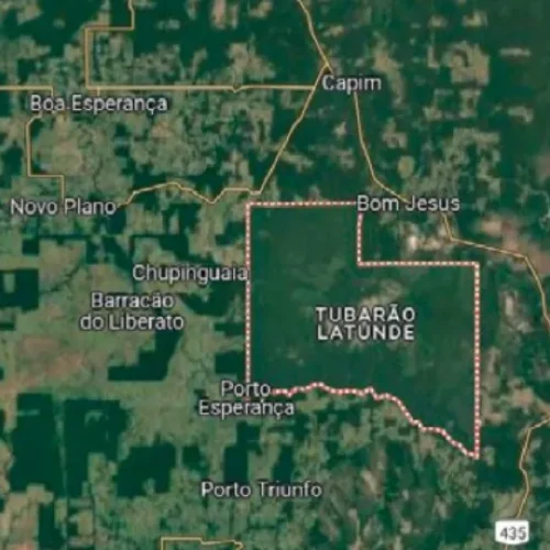 Crianças indígenas ficam mais de 24 horas perdidas em reserva de floresta no sul de Rondônia