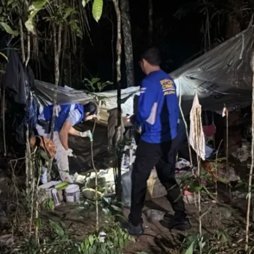 Mulher é achada morta em matagal; marido é o principal suspeito