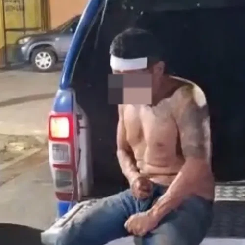 Invasor é contido por pitbull no bairro Lagoa e levado à UPA Sul pela polícia