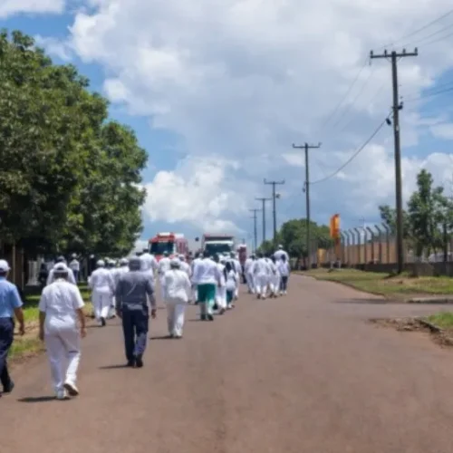 Vazamento de amônia em frigorífico de Cacoal deixa funcionários feridos e aciona emergência