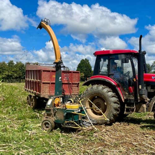 O recurso, no valor de R$ 53 mil, já está confirmado e será destinado à prefeitura para a compra do equipamento (Foto: Priscila Melgar I Secom ALE/RO)