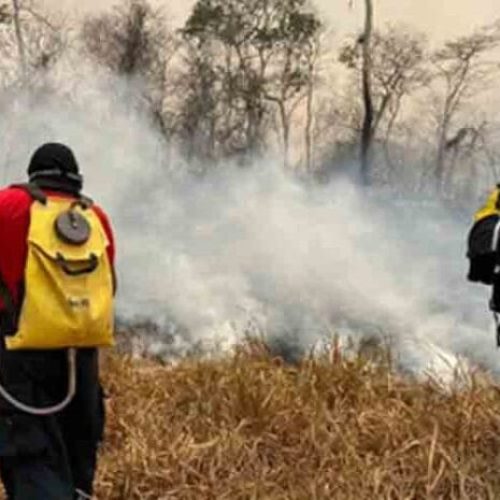 Justiça determina que União libere recursos para contratar brigadistas para Rondônia
