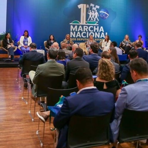 Ieda Chaves participa de encontro nacional que articula pauta feminina no Legislativo