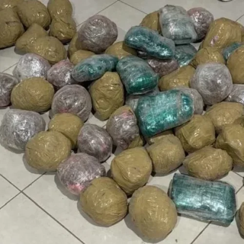 Operação Conjunta das Forças de Segurança apreende 53 kg de entorpecentes, em São Francisco do Guaporé