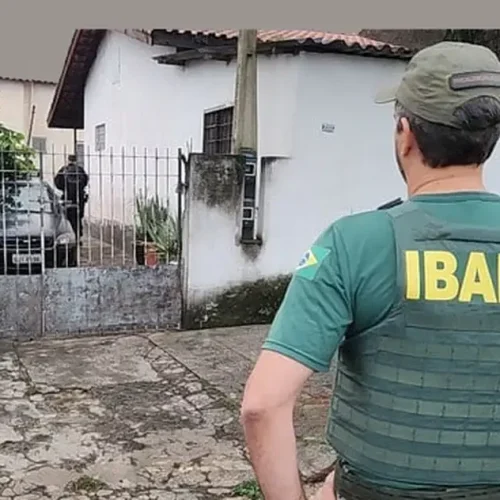 Operação da PF e Ibama apreende 33 animais em posse de traficantes