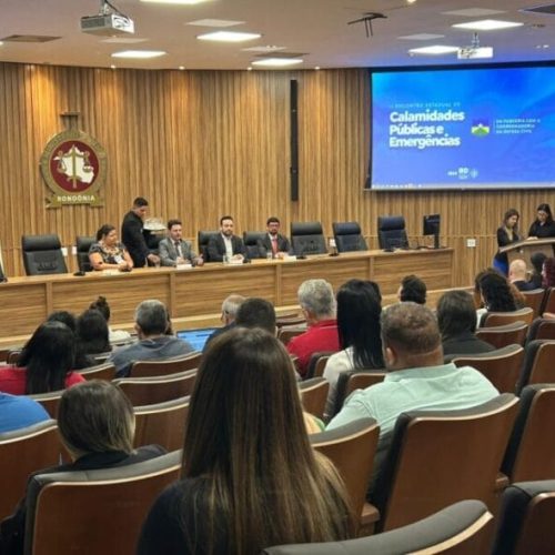 Governo de RO discute com municípios políticas públicas para o enfrentamento das situações de calamidade pública e emergenciais