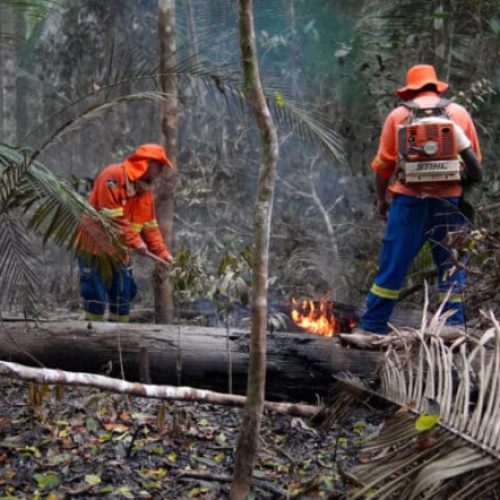Pontos de reignição de incêndio são combatidos no Parque Estadual Guajará-Mirim
