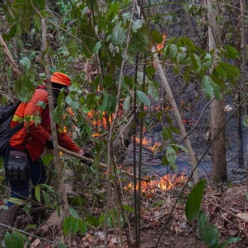 Combate a incêndio é contínuo no Parque Guajará-Mirim e na região Soldado da Borracha, mesmo com dificuldade de acesso