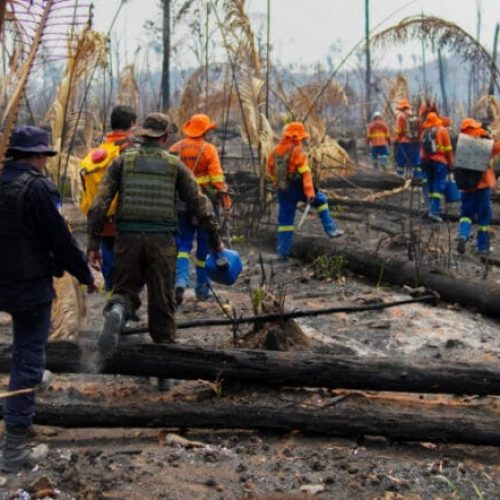 Equipes buscam alternativas de acesso aos locais de combate a focos de calor no Parque Guajará-Mirim