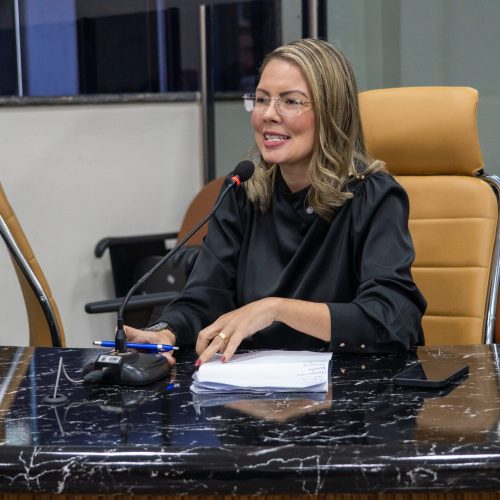 Vereadora Sofia Andrade declara apoio à manifestação na BR-364 em defesa do setor produtivo rural