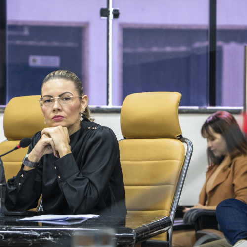 Projeto de Lei de Sofia Andrade quer coibir furtos de cobre e garantir mais segurança para Porto Velho
