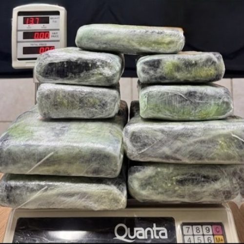 PF prende mulher com 13 kg de skunk no aeroporto de Porto Velho