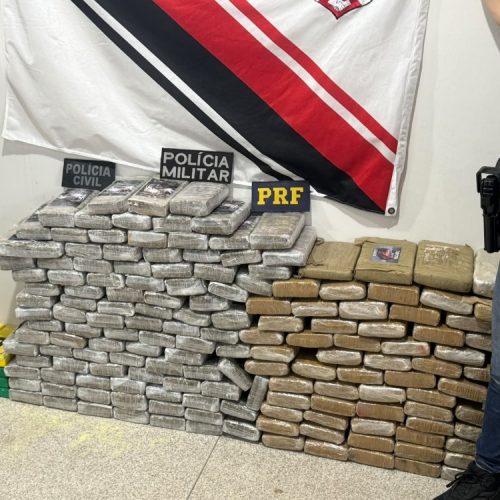 Ação conjunta da PM, Civil e PRF prende casal e apreende grande quantidade de droga em mata da BR-364