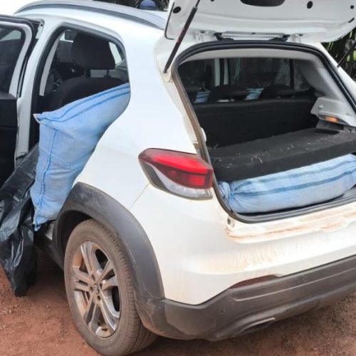 Operação conjunta da Draco, PRF e PM apreende cerca de 180 kg de skunk após perseguição
