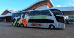 Eleitor pode viajar de graça para votar em outros municípios de Rondônia