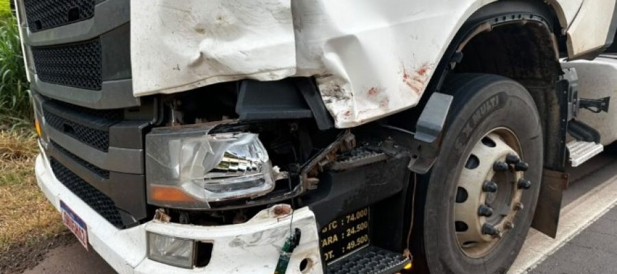 Motociclista morre em colisão frontal com bitrem na BR-364
