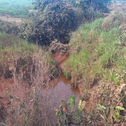 Projeto-piloto visa desburocratizar e fortalecer setor produtivo na Bacia do Rio Palmeiras, em Espigão do Oeste