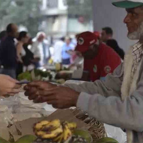 Programa Desenrola Rural entra em vigor nesta segunda-feira