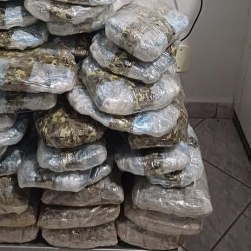 PRF apreende quase 40 kg de skunk, arma e rádio após perseguição na BR-364