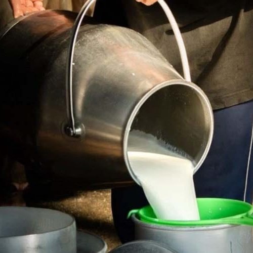 Fórum+Leite RO acontece durante feira tecnológica em Porto Velho