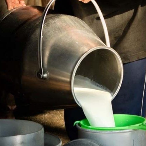 Fórum+Leite RO acontece durante feira tecnológica em Porto Velho