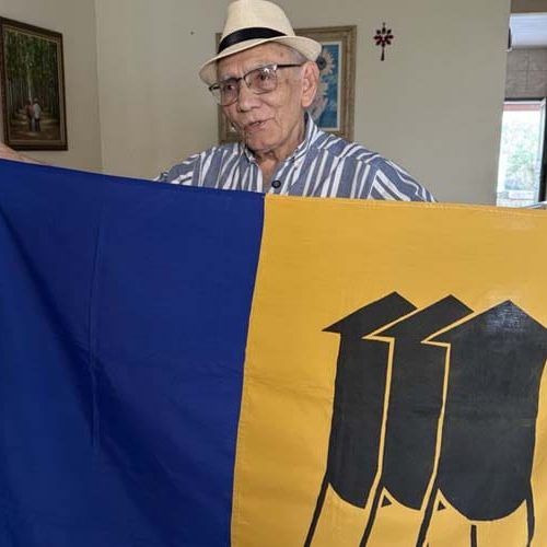 Porto Velho 111 anos: a história da bandeira e do brasão