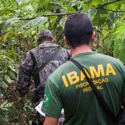 Edital de abertura do concurso público do Ibama é publicado com 460 vagas