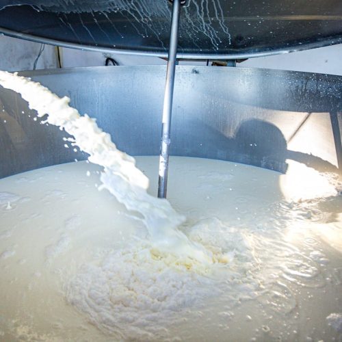 Apoio emergencial ao setor do leite em Rondônia é pauta da deputada Cláudia de Jesus