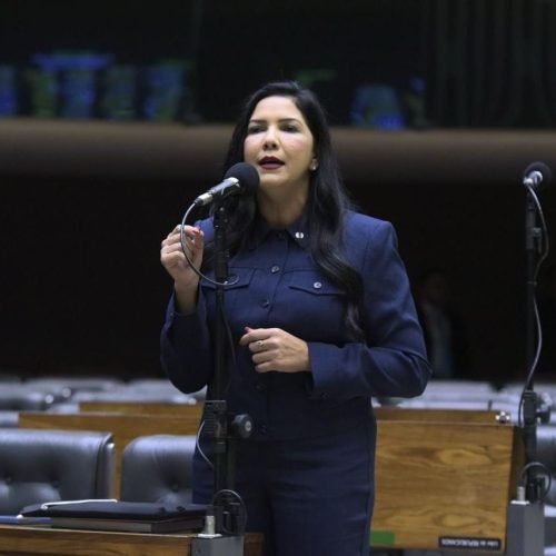 Vitória do agro! Deputada federal Cristiane Lopes vota favorável ao PL que garante mais prazo para regularizar terras em áreas de fronteira