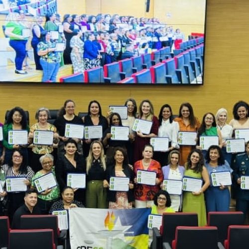 Assistentes sociais recebem votos de louvor pelas mãos da deputada Cláudia de Jesus