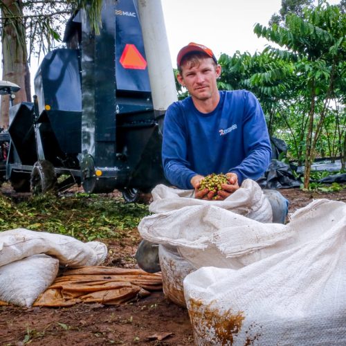 O Agro em boas mãos: tecnologia na colheita do café transforma a rotina de produtores em Cacoal