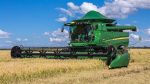 DIA DO AGRICULTOR: do broto ao alimento na mesa global: O orgulho de ser agricultor