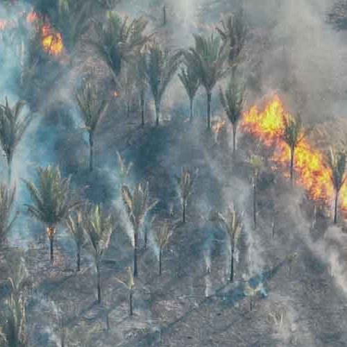 Queimadas sufocam ambiente urbano e rural de Porto Velho