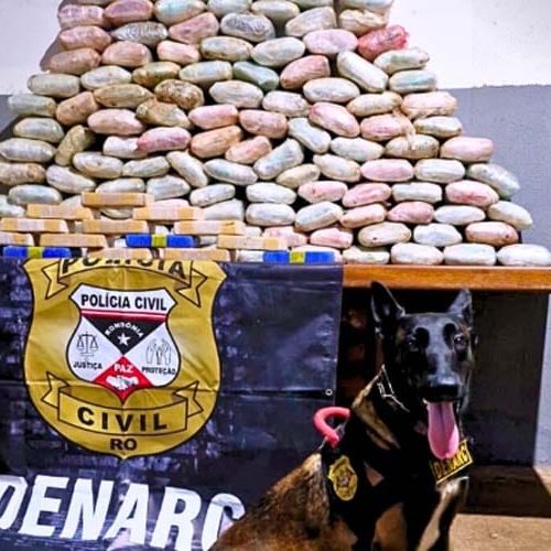 Polícia Civil faz apreensão de drogas e armas em Porto Velho