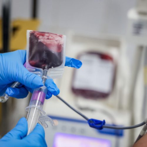 Edital de processo seletivo com vagas para diversas áreas da saúde em Rondônia será lançado na segunda-feira, 27