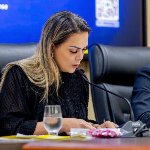 Cláudia de Jesus solicita recuperação da RO-480 no acesso à Linha 128, em Ji-Paraná